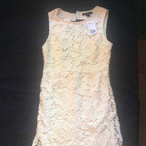 Forever 21 dress